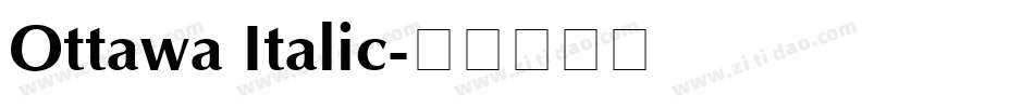 Ottawa Italic字体转换